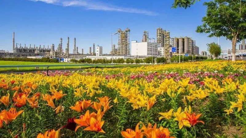半导体新材料采购，如何规避潜在风险？**